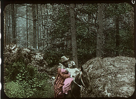 I bambini nella foresta 1912